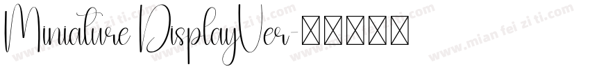 Miniature DisplayVer字体转换